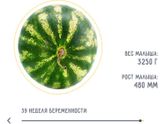 Чтооо, все заново???
