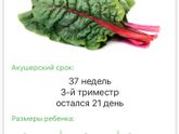 Эх совсем маленько ещё
