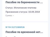 Выплаты по БиР через ФСС