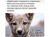 Репост пожалуйста!