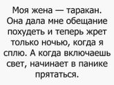 Много тараканчиков у нас