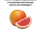 Наш экватор
