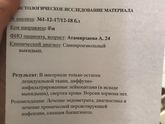 Гистология 🥺