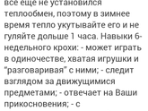 6 недель
