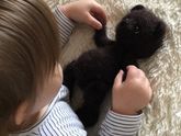 Тема игрушек