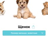 Наши 30 неделек