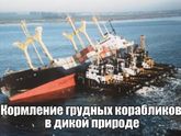 Давайте повеселимся?