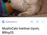Болит душа