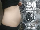 32 недели