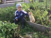 Новости осень 2018