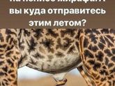 Вопрос))))
