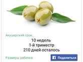 8 марта! С праздником, дорогие дамы ❤