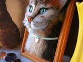 Портрет кота из шерсти ручной работы