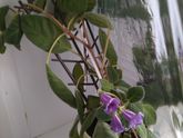 Подскажите