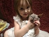Бедный кот 😆😆😆
