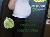3 скрининг