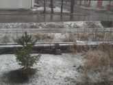 Гребаная hueta