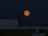 В чём уникальность данного
