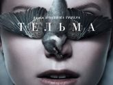 последние три фильма 258