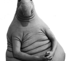 Мы в роддоме