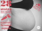 28 неделек ❤️