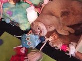 Пушистика в ленту🐱