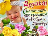 Беременная жизнь