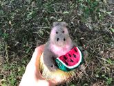 Подходил к концу обыкновенный