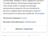 Имя