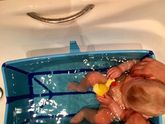 Ванночка Stokke