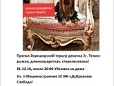 Пропала собака.Очень нужна помощь