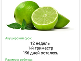 Вот и наши 12 неделек