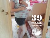 39.3 дня