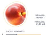 13 недель