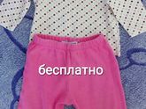 Отдам бесплатно