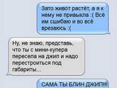 Беременная жизнь