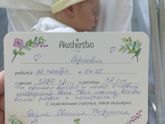 Наш гномик ❤и история рождения