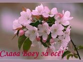 Родила сегодня девочку))) Делюсь