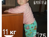 Моя восьмимесячная Булка.