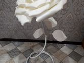 Ну как? 🌹