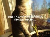 Душно и жарко