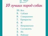 Фотография 2018-12-31 11:11:54