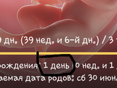 Вот и подходит к