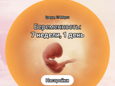 17 апреля пойду на УЗИ 12 недель будет ???