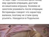 Про кане корсо
