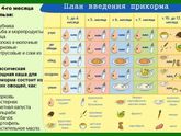 Первый прикорм