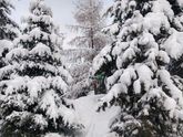 Зимы вам в ленту💙❄️⛄️🌧