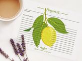 Карточки для записи рецептов