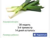А мы все ждем)