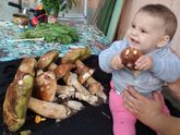 Грибник наш маленький))
